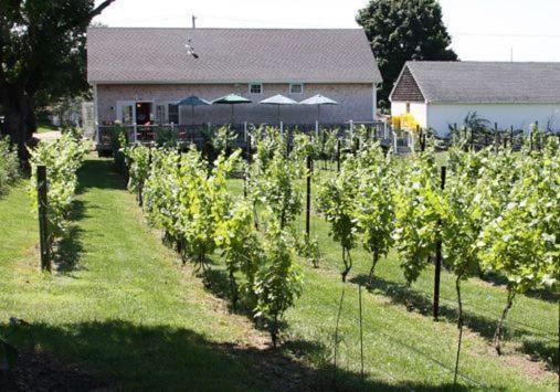 The Langworthy Inn & Winery Westerly Ngoại thất bức ảnh